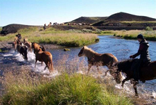 Iceland-Northern Tours-Northern Elves Trail